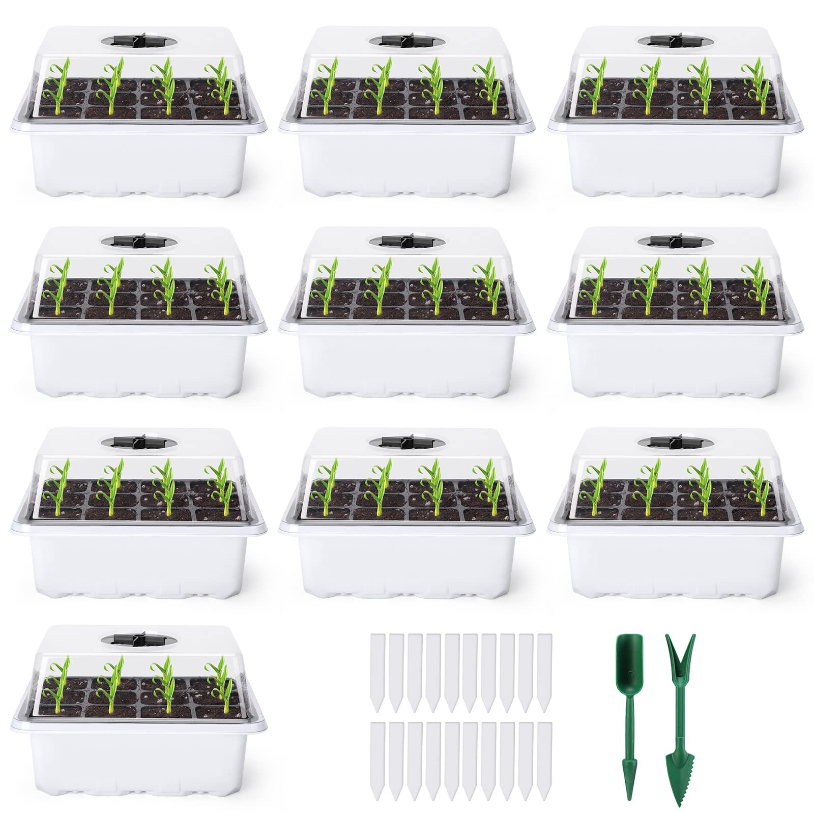 Delxo seed starter kit with humidity domes enables precise moisture control for better germination.
