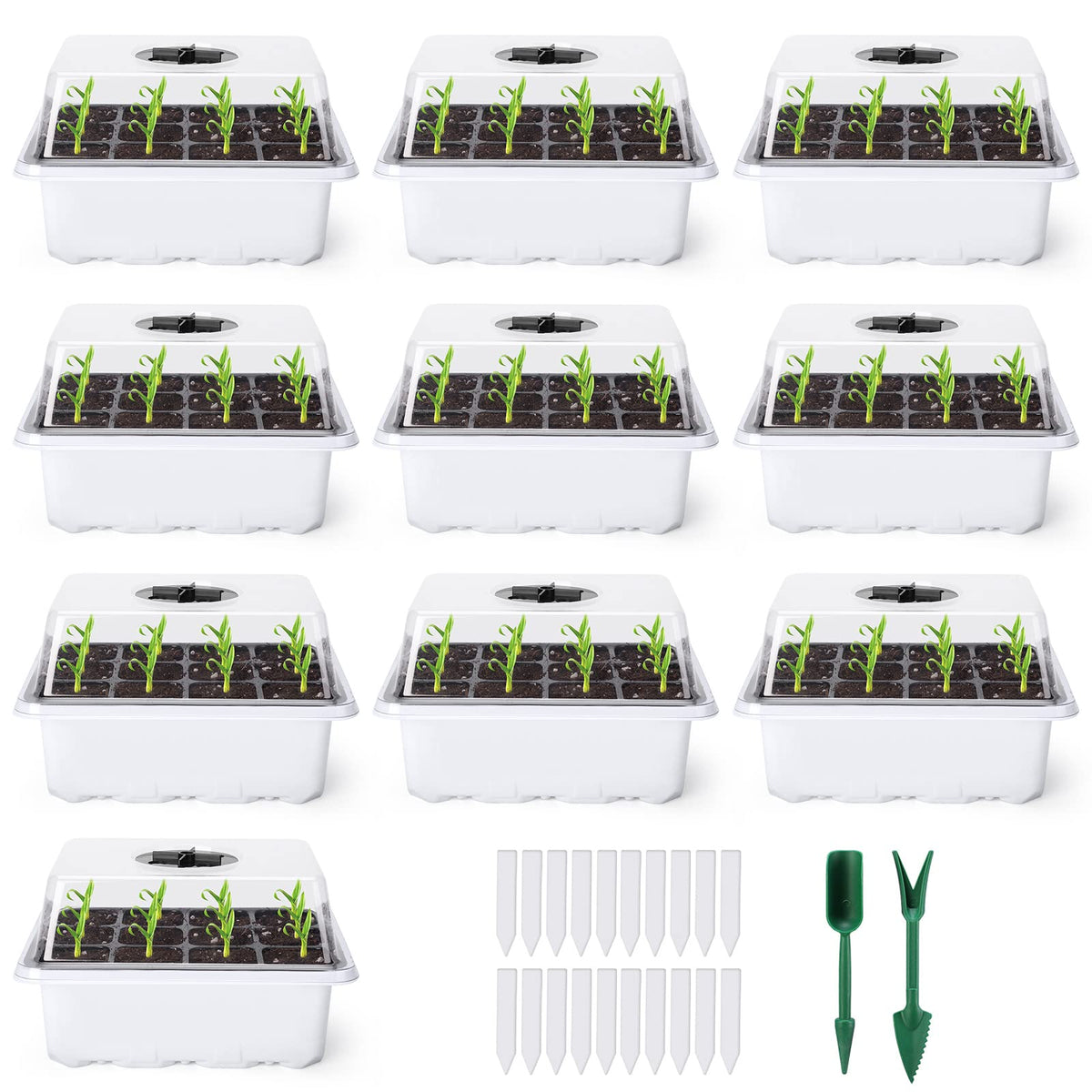 Delxo seed starter kit with humidity domes enables precise moisture control for better germination.