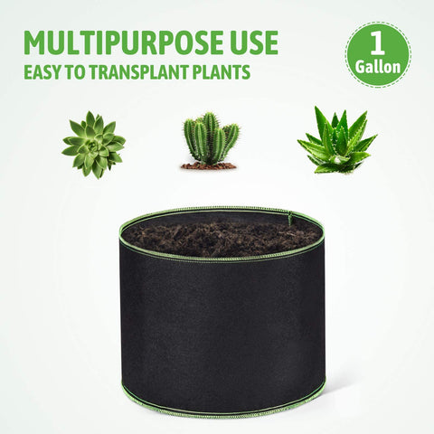 Delxo bags enable tabletop mounting for convenient indoor gardening