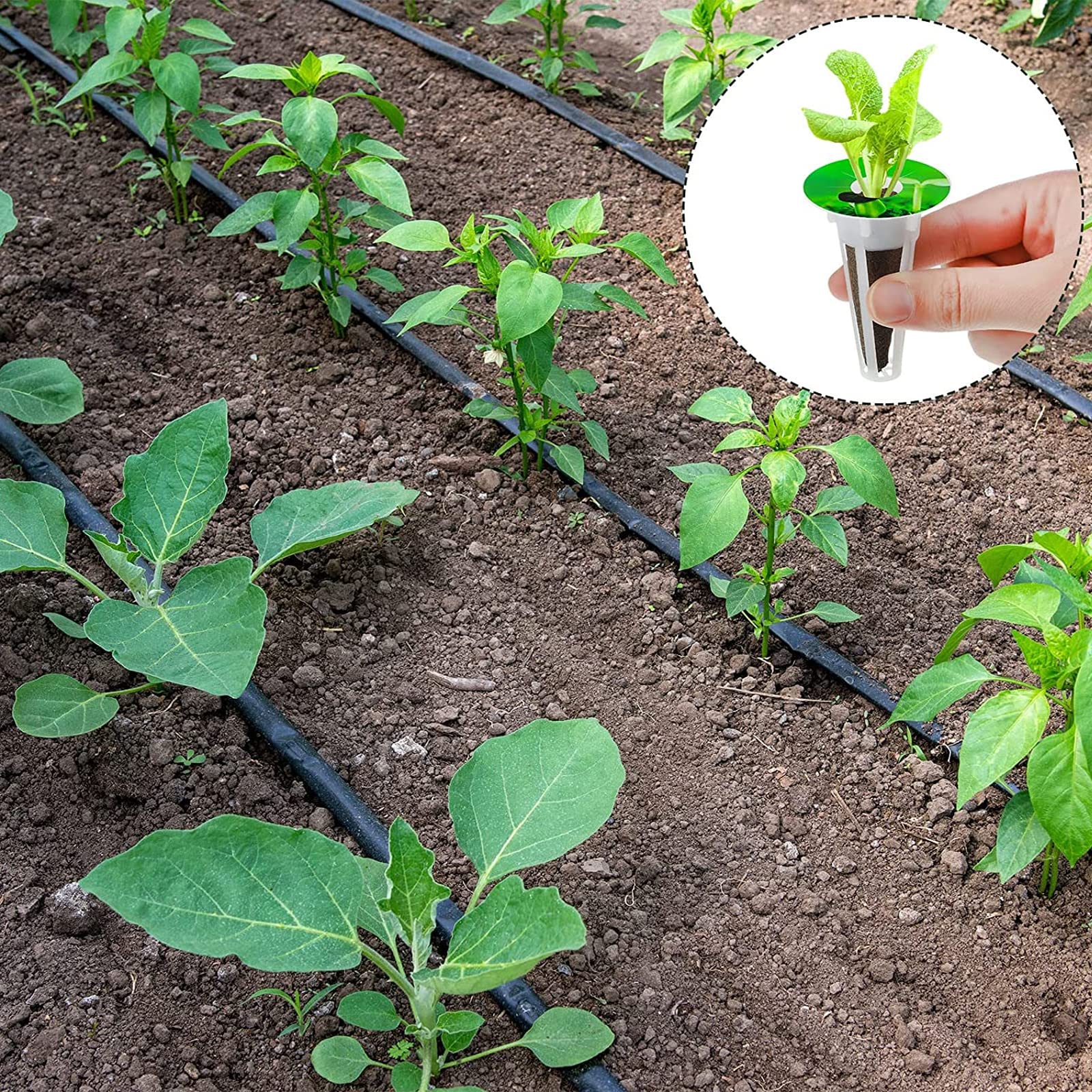 Denideliwu kit supports year-round indoor gardening in small spaces.