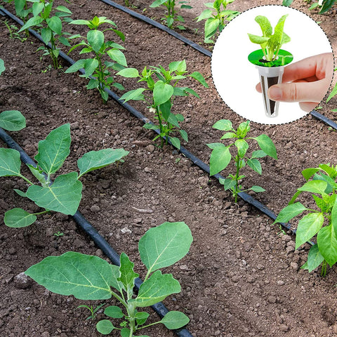 Denideliwu kit supports year-round indoor gardening in small spaces.