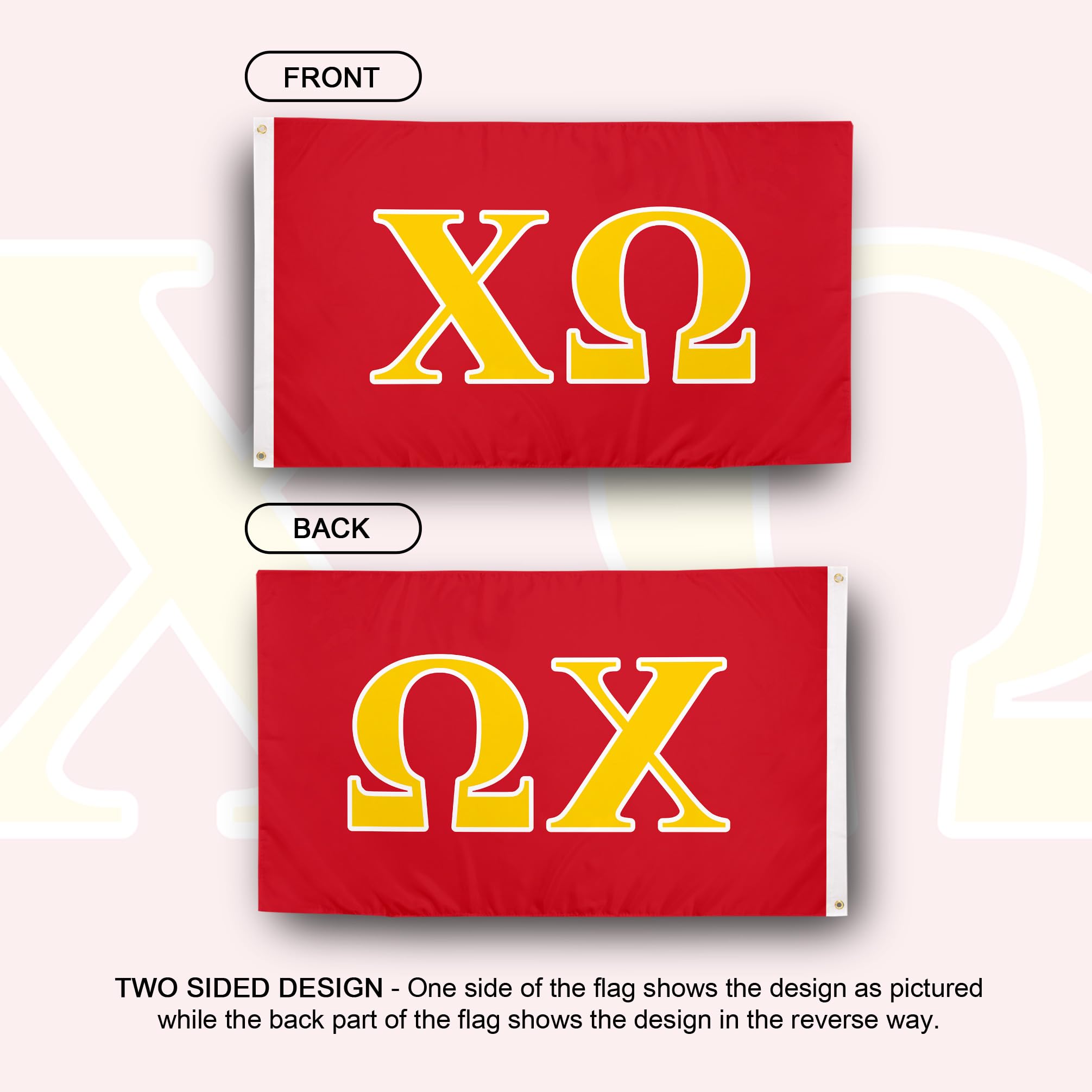 Desert Cactus Chi Omega flag back design visible for outdoor display