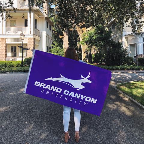 Desert Cactus GCU flag ready for outdoor display at events.