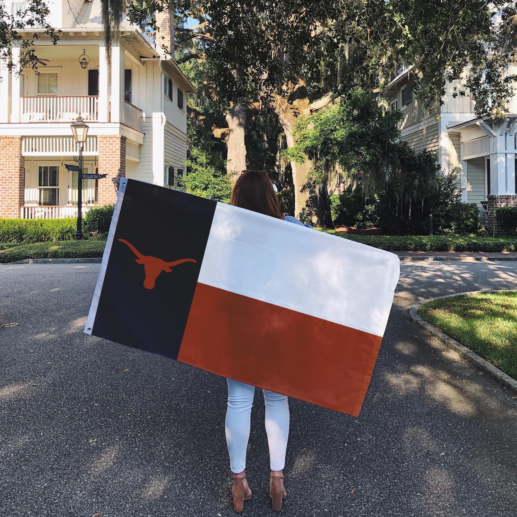 Desert Cactus UT flag ideal for outdoor displays and events.