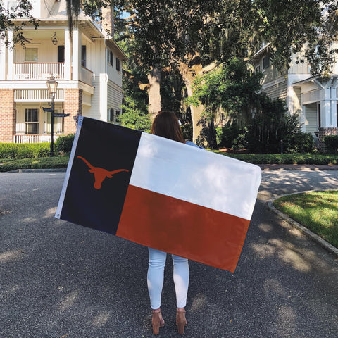 Desert Cactus UT flag ideal for outdoor displays and events.