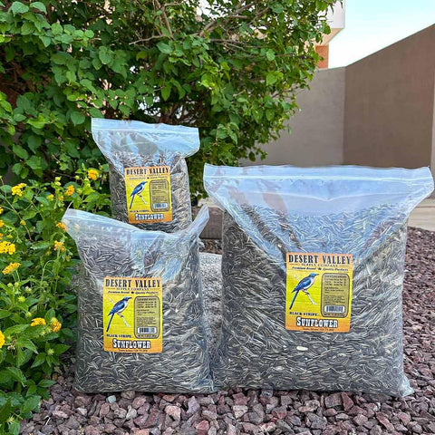 Birds at a feeder enjoying Desert Valley striped sunflowers.