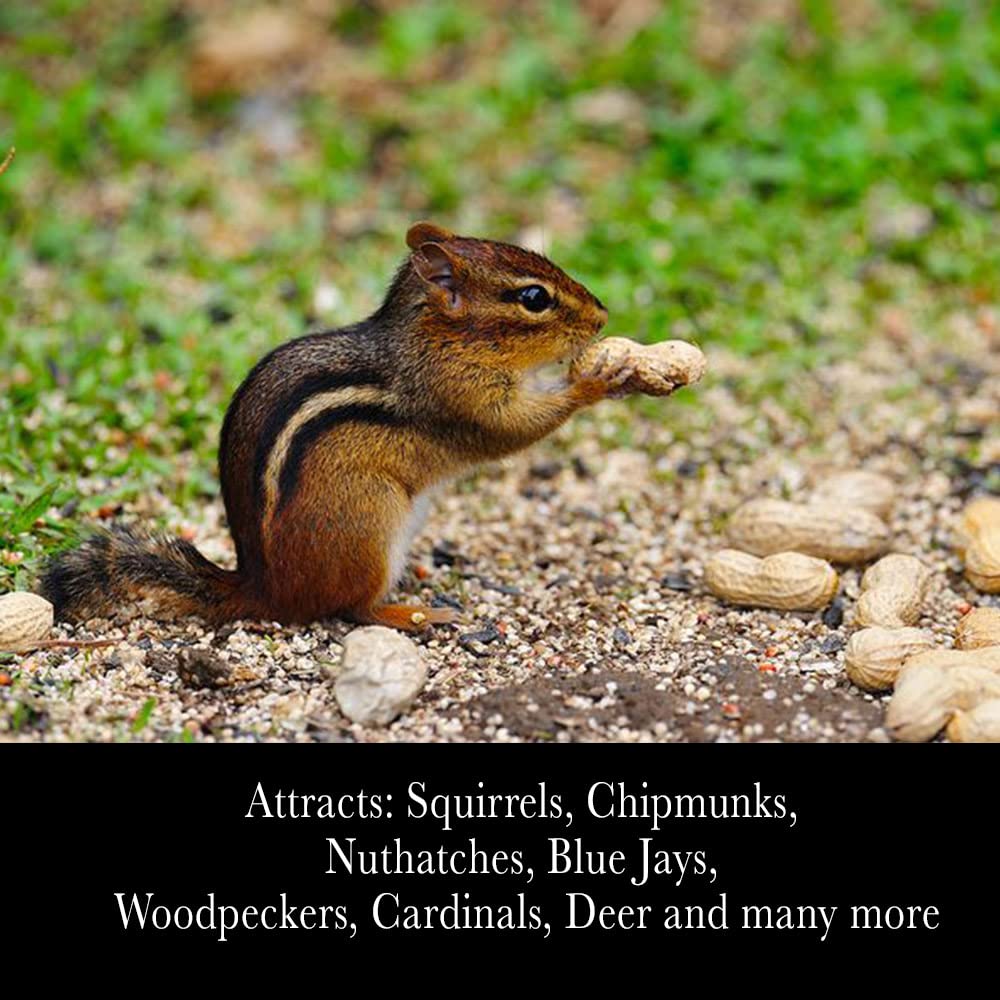 Desert Valley Supply backyard wildlife attraction using shell peanuts for visitors.