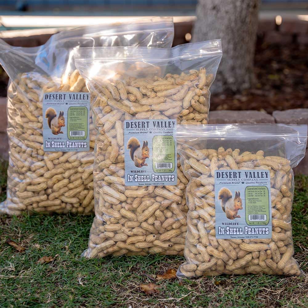 Desert Valley Supply energy-rich peanuts supporting wild animal activity in the yard.
