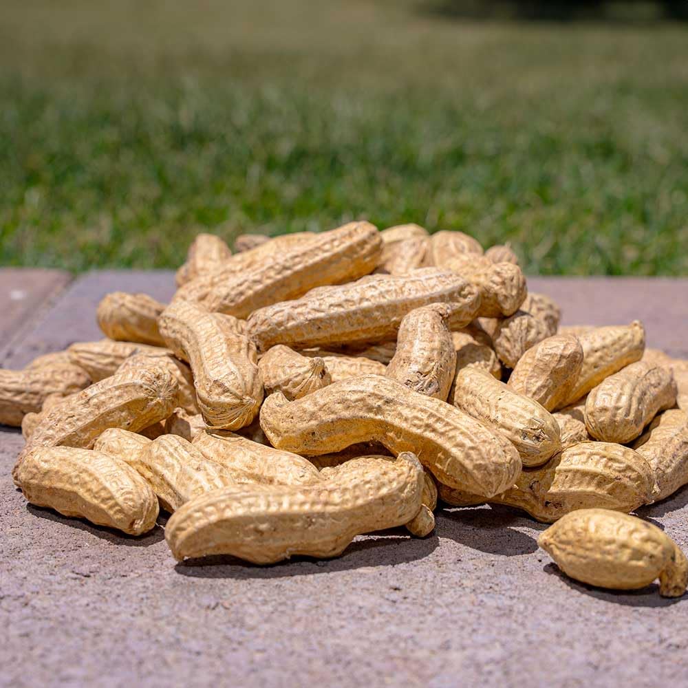 Desert Valley Supply raw peanuts in shell box, USA-grown wildlife feed.