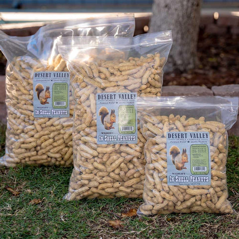 Desert Valley Supply peanuts attracting backyard wildlife for observation.