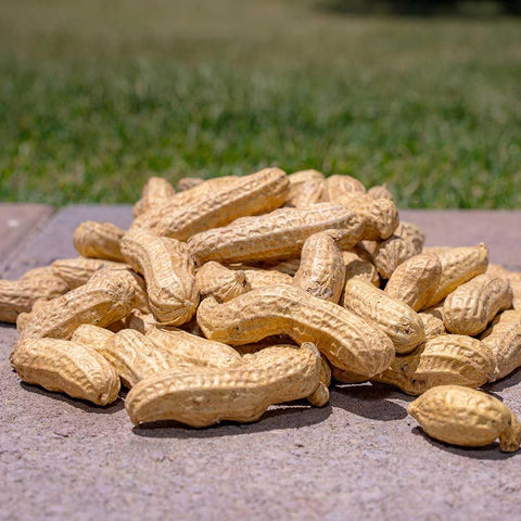Desert Valley Supply USA-grown unsalted peanuts highlighting premium wildlife nutrition.