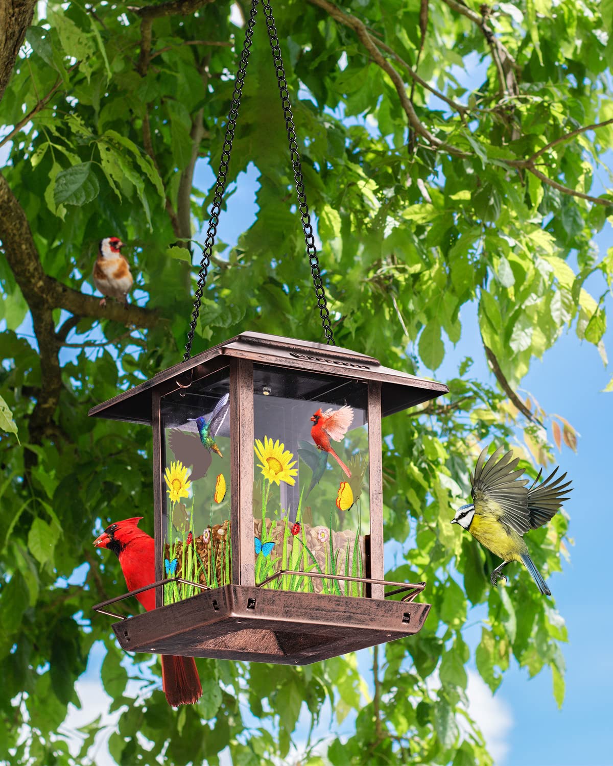DesGully solar bird feeder in garden during morning light attracting local birds.