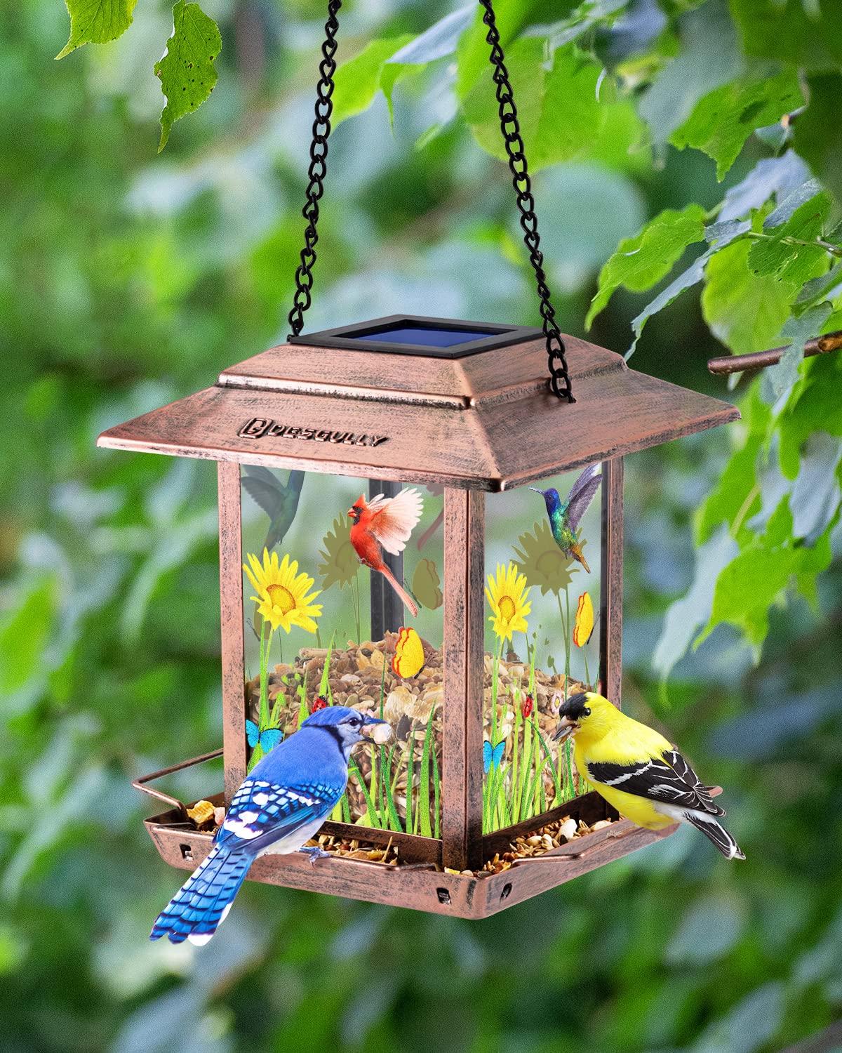 DesGully solar bird feeder hanging with sturdy chain ready to install.