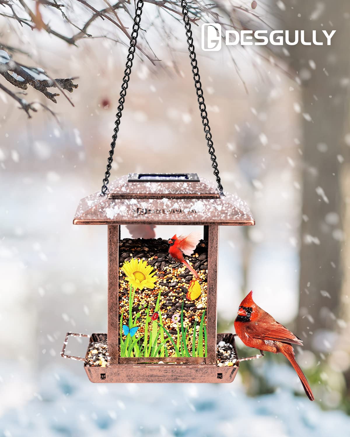 DesGully solar bird feeder at dusk as lantern lighting the yard.