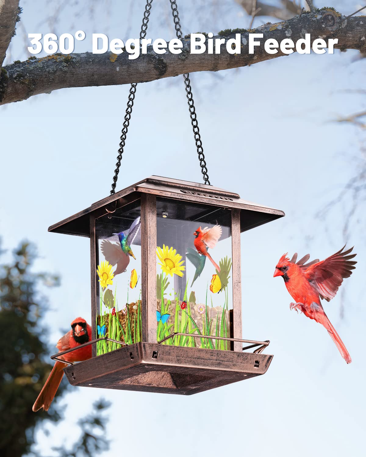 DesGully solar bird feeder side view showing easy fill design and weatherproof metal.