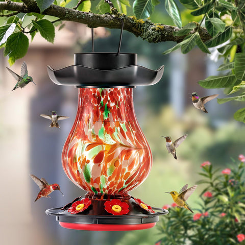DesGully color-changing LEDs glow at dusk.