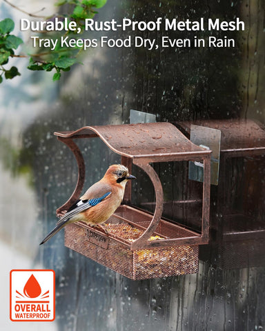 DesGully metal window feeder detaches easily for cleaning.