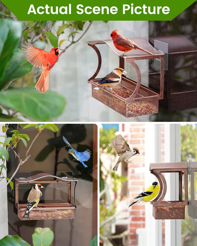 DesGully window bird feeder packaged as a gift for bird lovers.
