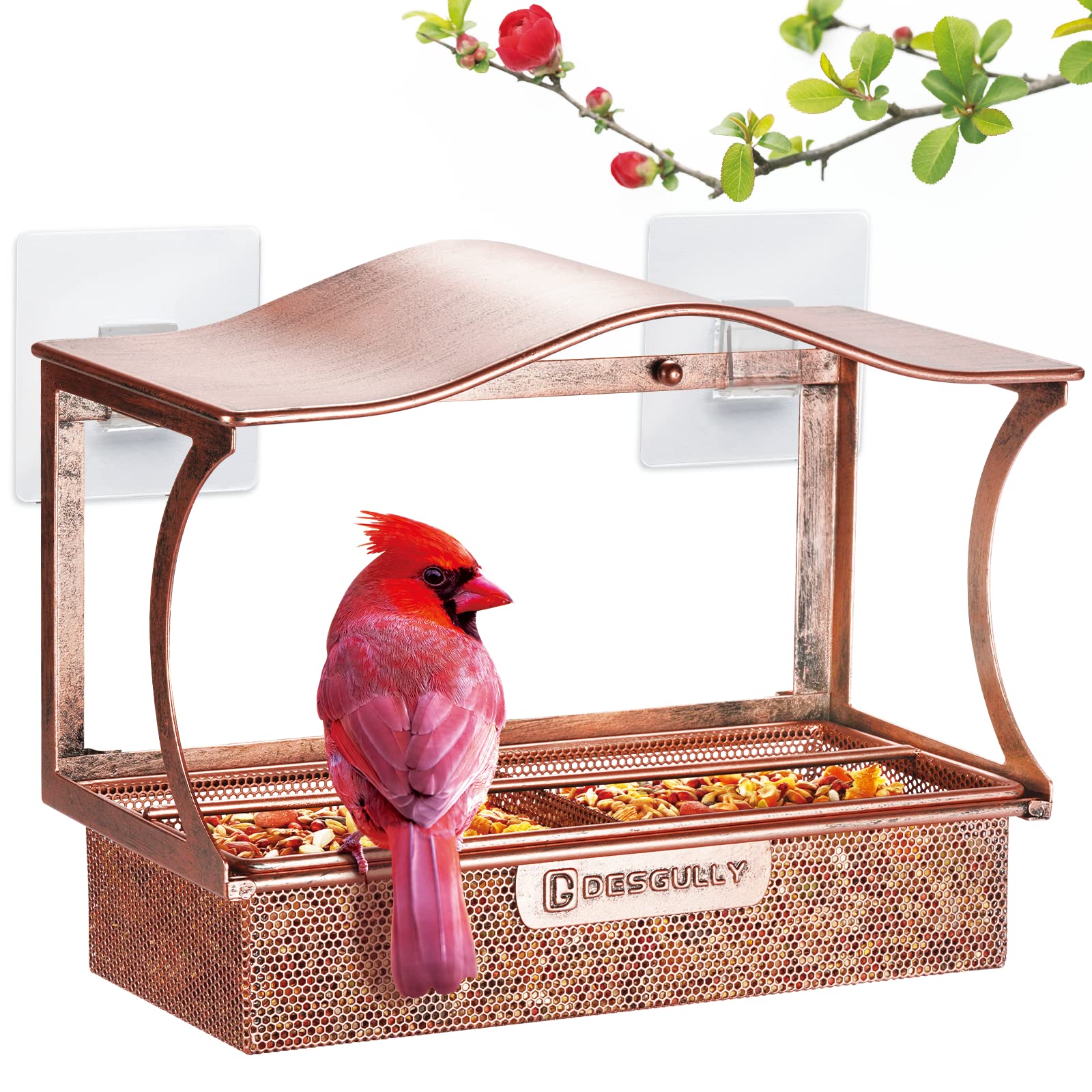 DesGully window bird feeder with strong suction cups for stable viewing.