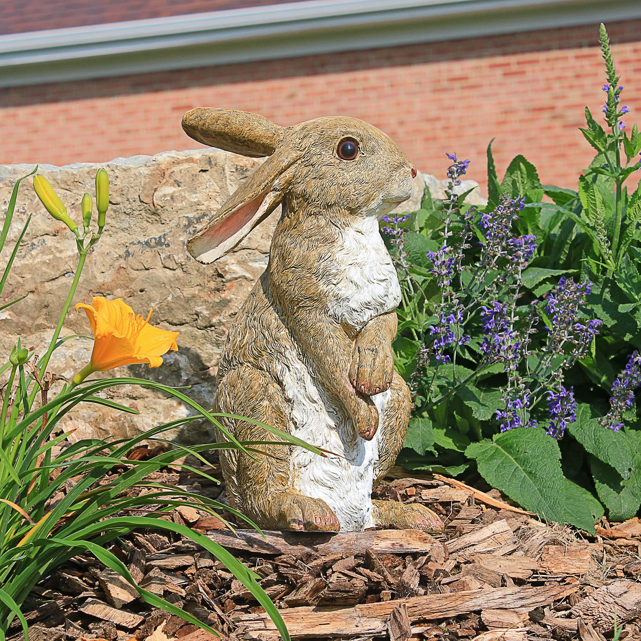 Close-up of Hopper Bunny eyes and fluffy tail detail
