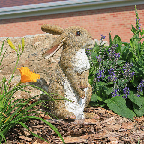 Close-up of Hopper Bunny eyes and fluffy tail detail