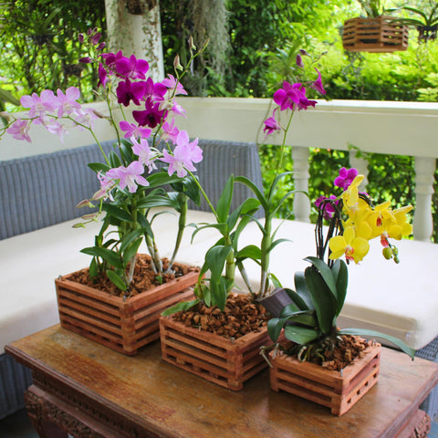DESQUIGGLE indoor-outdoor display idea with rustic charm.