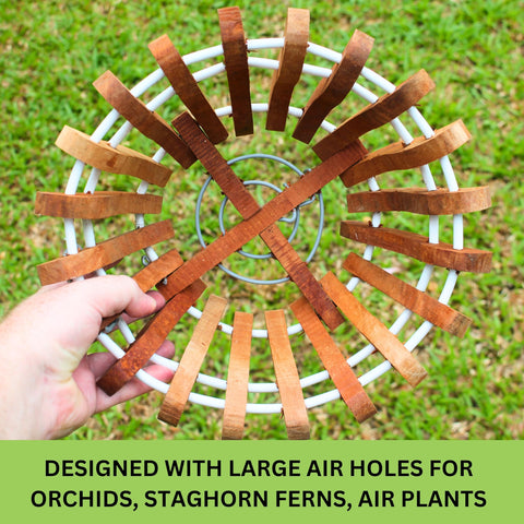 DESQUIGGLE outdoor orchid basket with mesh option, ensures drainage and root stability.