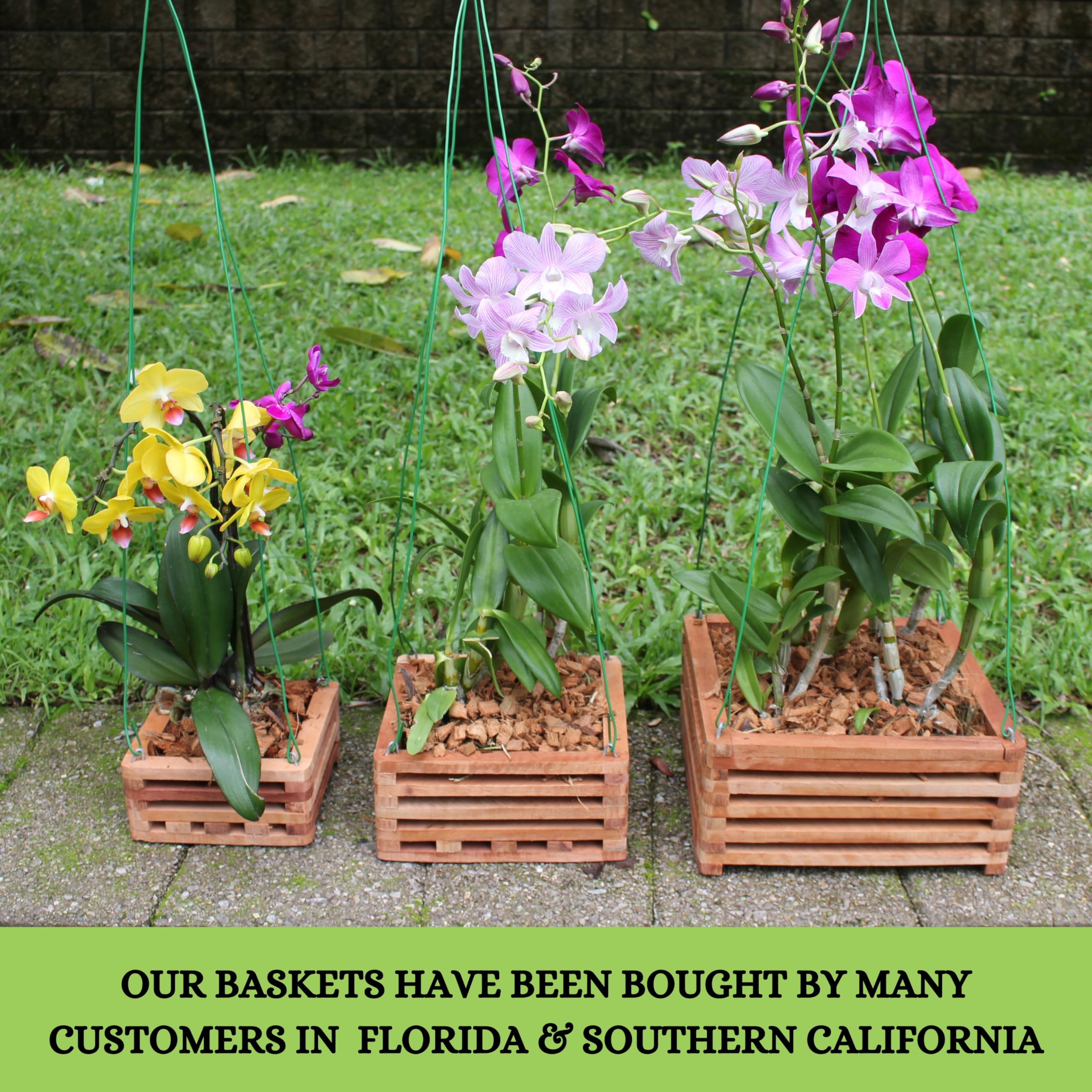 DESQUIGGLE vanda basket hangers with 32-inch wires for easy garden mounting.
