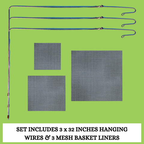 DESQUIGGLE basket with mesh insert secures small orchids.