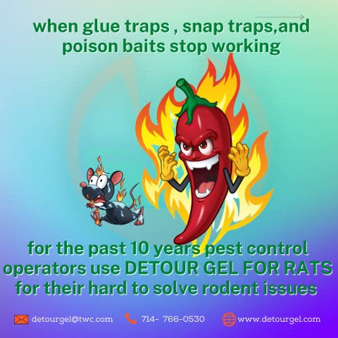DETOUR Rat Repellent Gel NSF-approved for use in food areas and prep spaces.