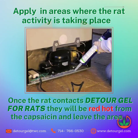DETOUR Rat Repellent Gel placed near outdoor grill to prevent infestations.