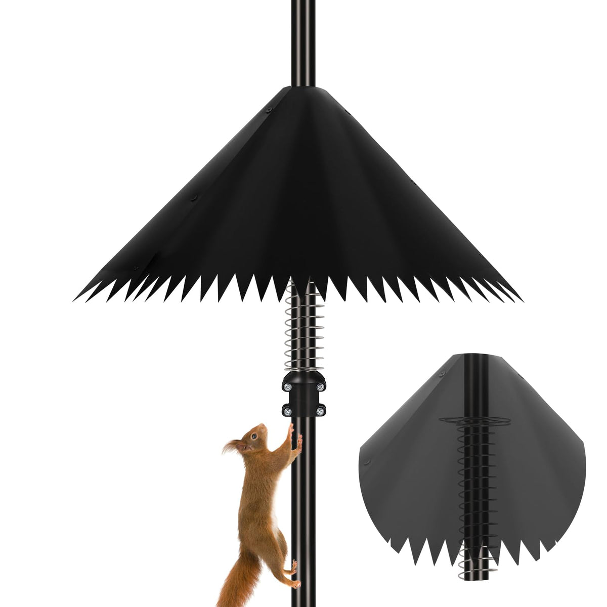 Detoypapa squirrel baffle 19inch cone protects a bird feeder from climbs