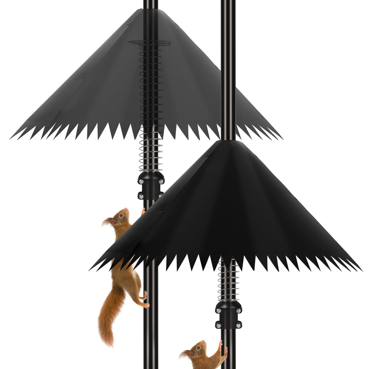 Detoypapa 19-inch squirrel cone baffle protecting a bird feeder