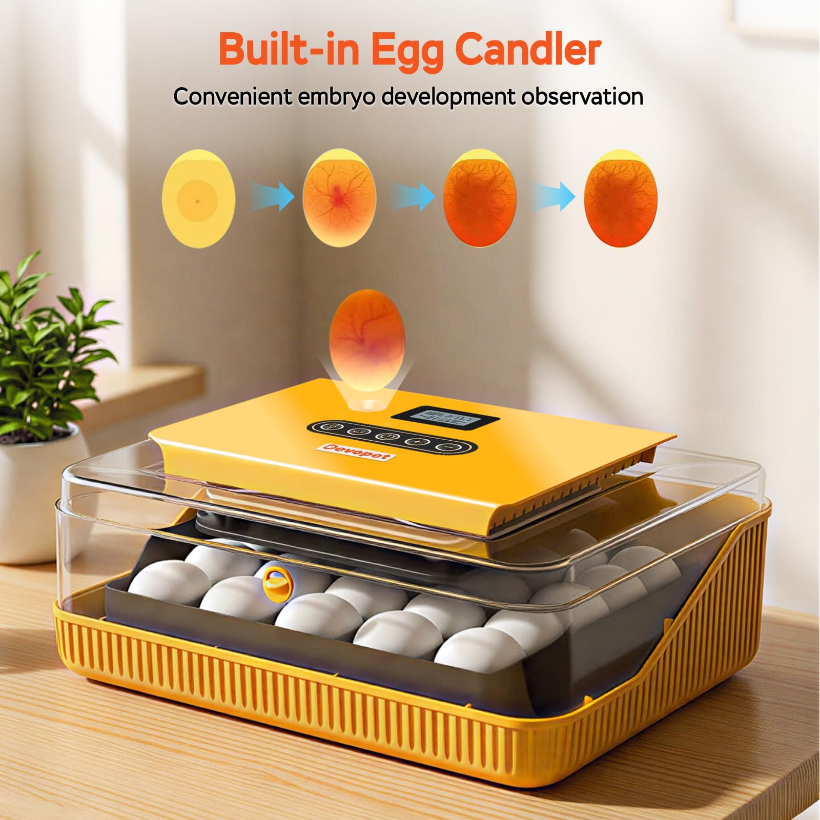 Devopet automatic egg turning mirrors natural movement for better hatch readiness