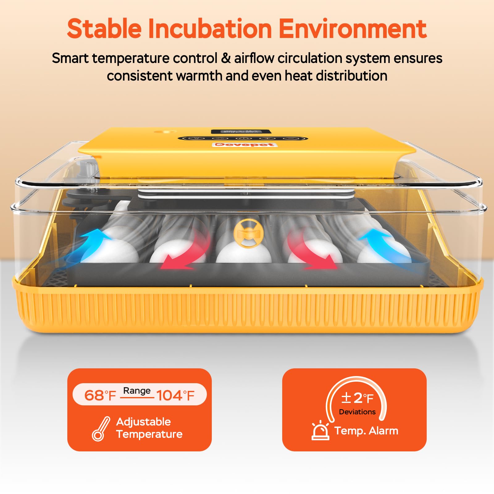 Devopet egg tray with adjustable dividers enables versatile egg types and sizes