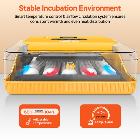 Devopet egg tray with adjustable dividers enables versatile egg types and sizes