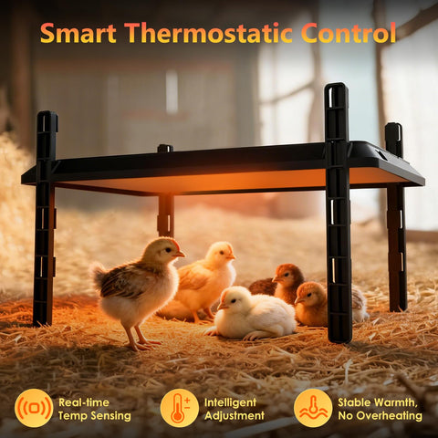 Devopet Smart Chick Brooder Plate thermostat-control image highlights precise temperature management for any age.