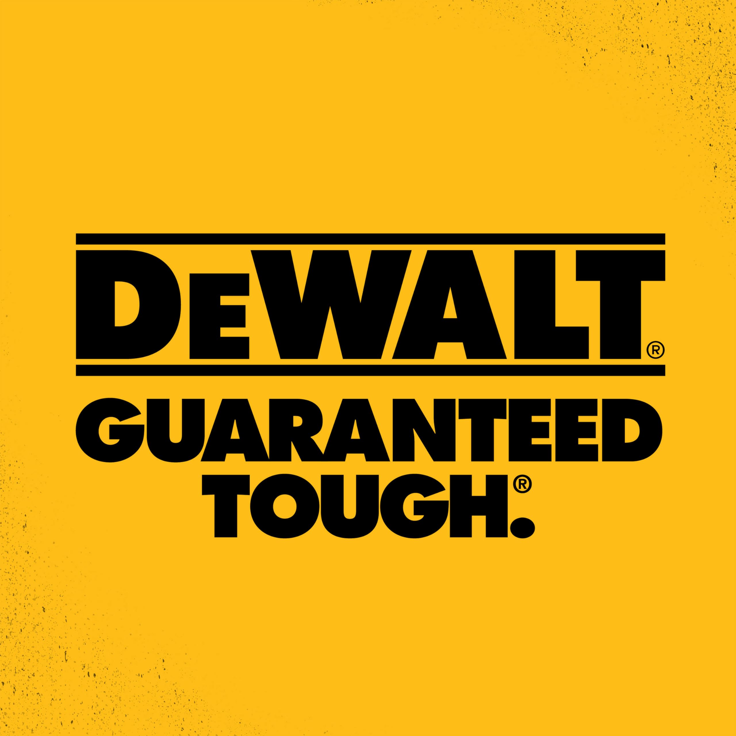 DEWALT hose in garden and car washing scenarios.