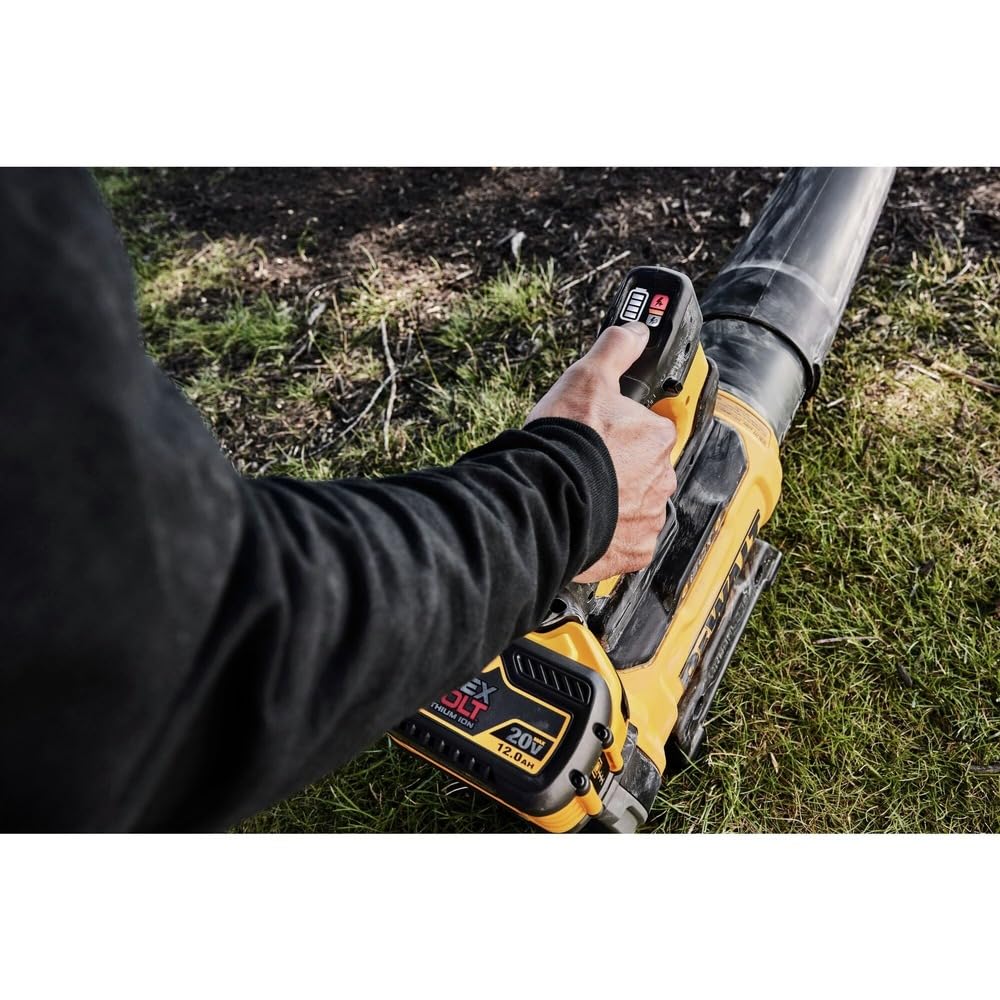 DEWALT Shell DW 60V Premium Blower packaging and setup for new buyers