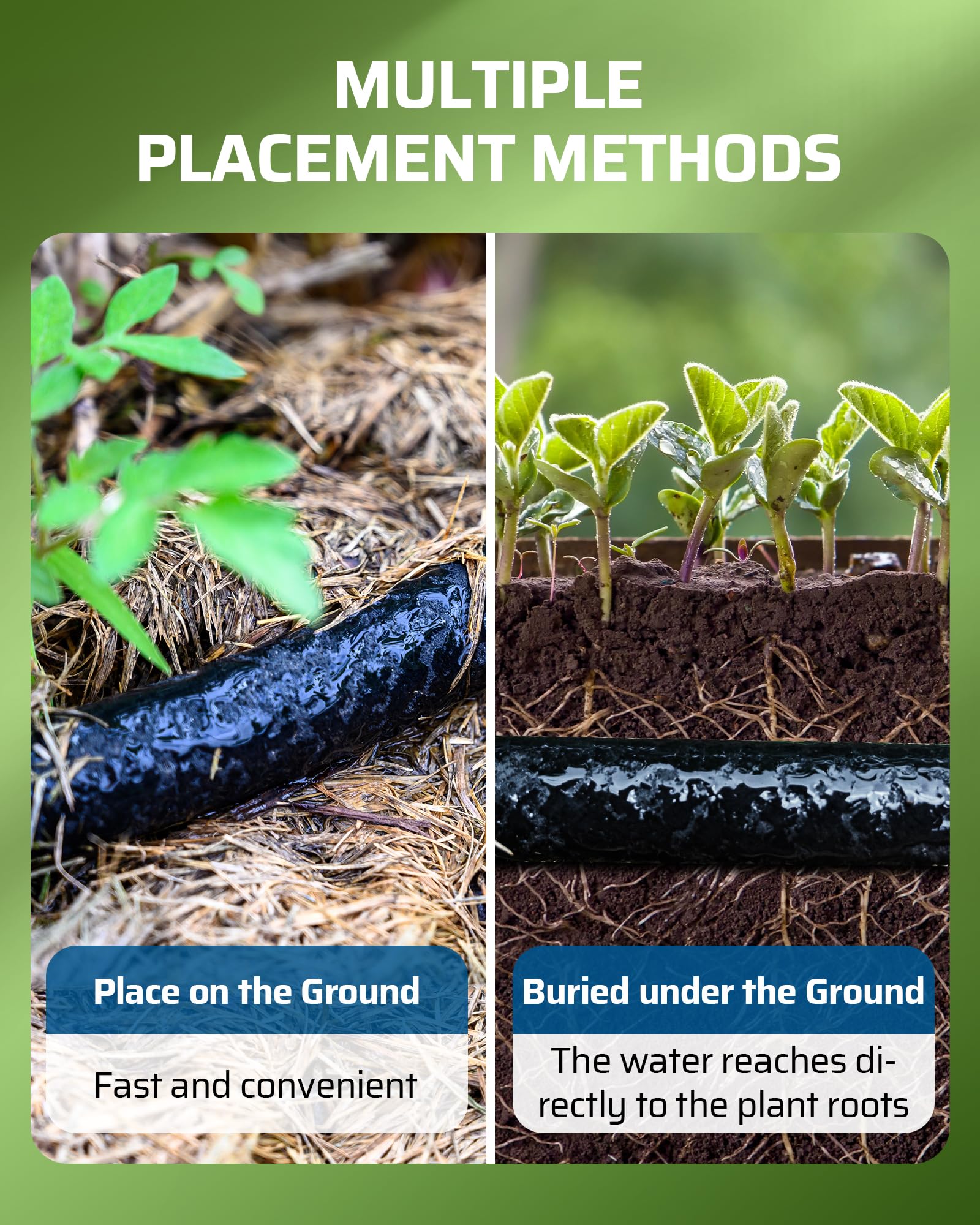 DEWENWILS root-zone watering promotes healthy moisture distribution to seedlings