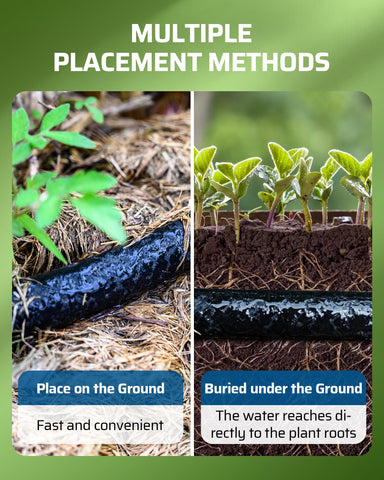 DEWENWILS root-zone watering promotes healthy moisture distribution to seedlings