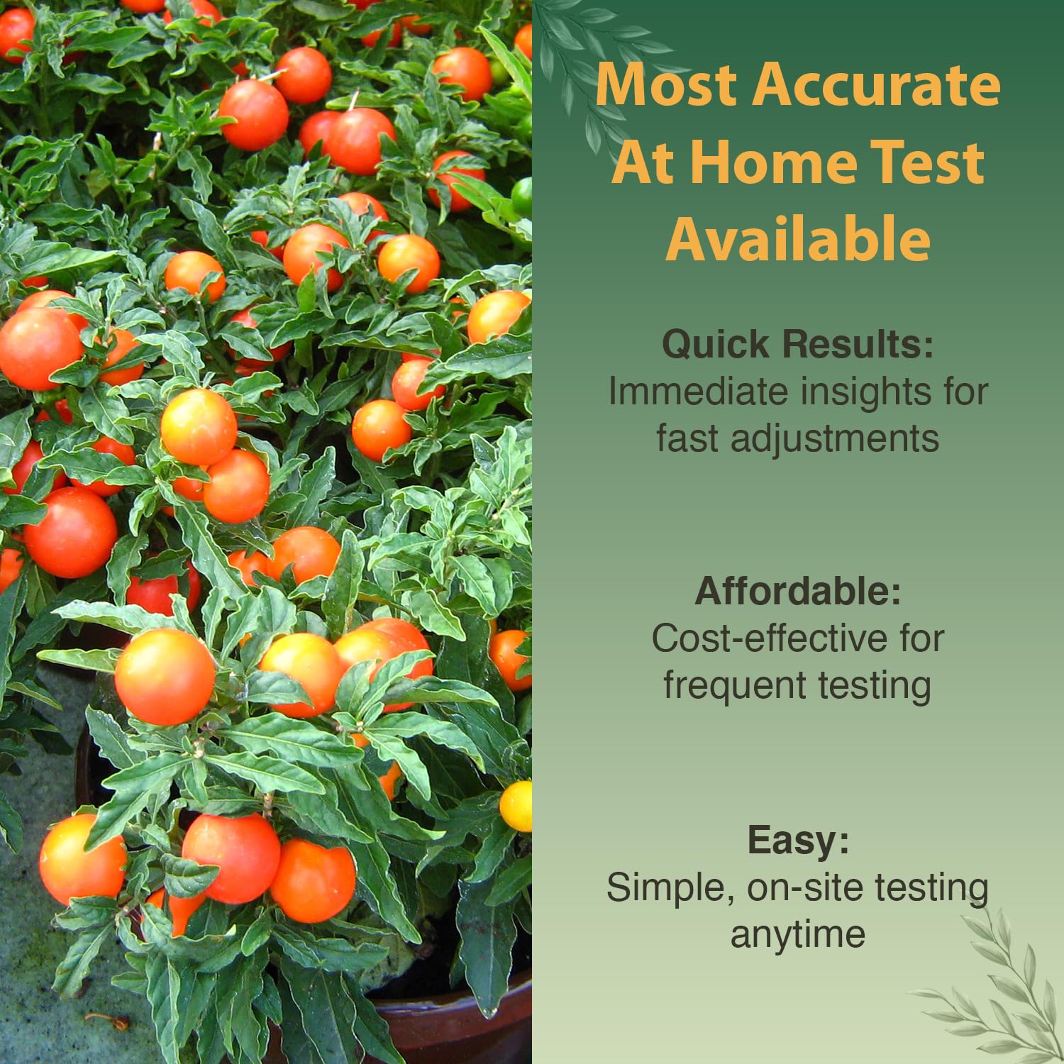 Dewilde Ph-N-Nitrogen-Phosphorus-Potassium Tablets for precise nutrient checks