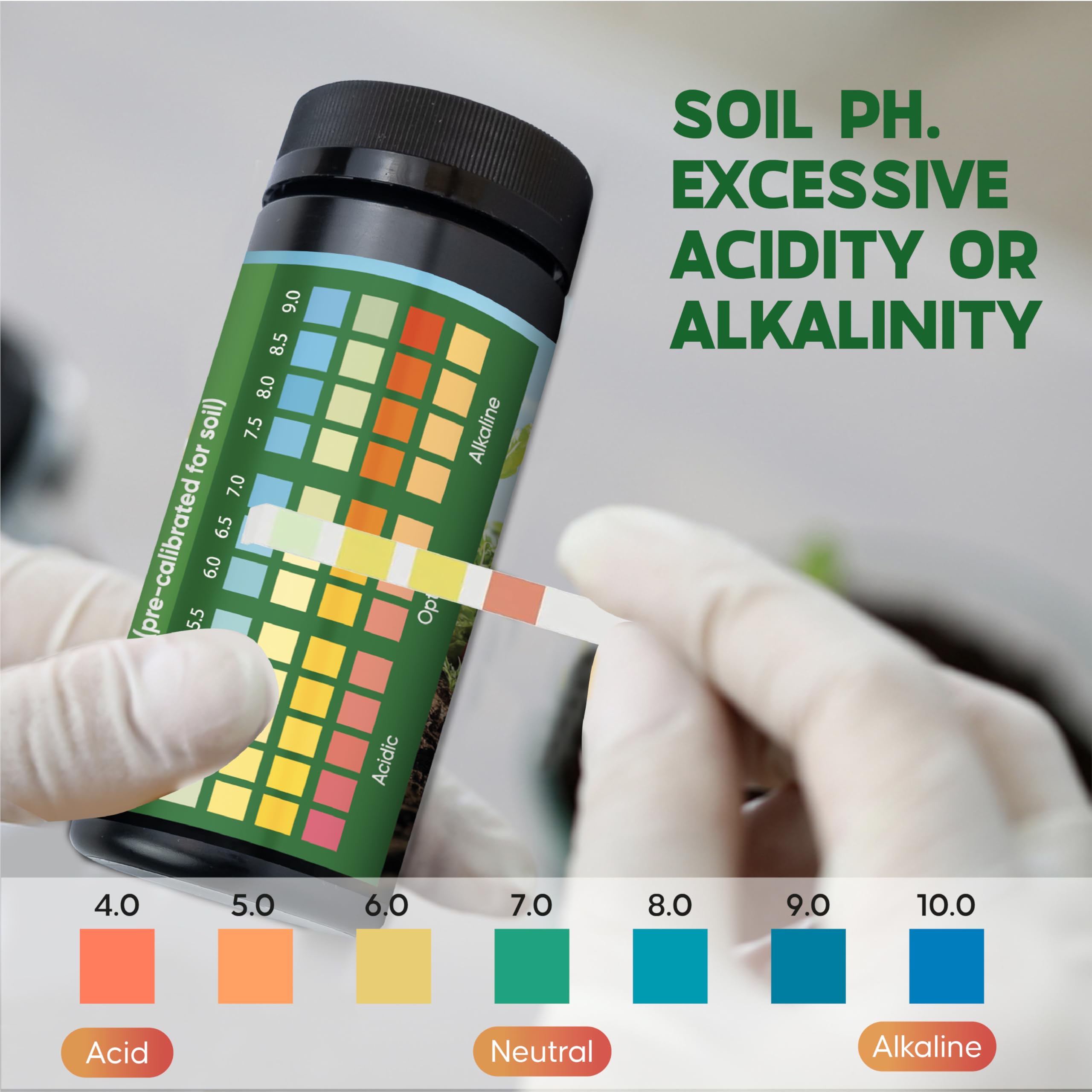 Indoor plants pH testing setup with the kit in a pot.