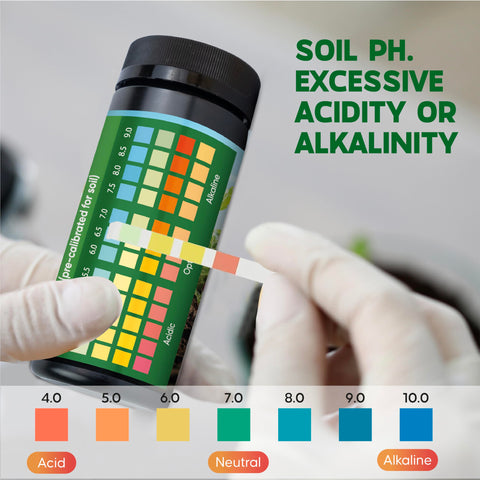 Indoor plants pH testing setup with the kit in a pot.