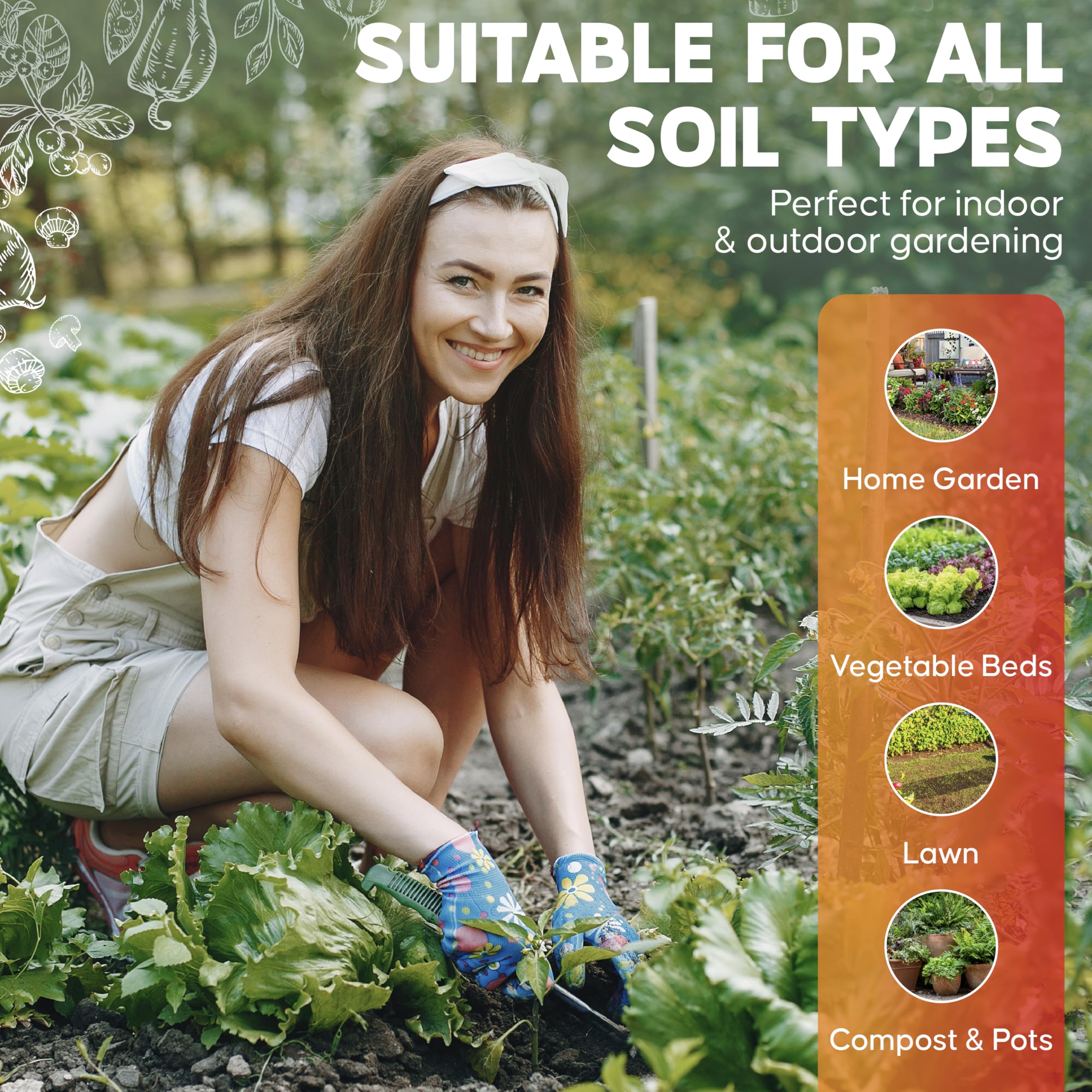 Soil sample preparation for pH testing in a home garden.