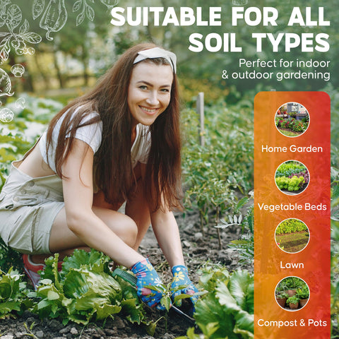Soil sample preparation for pH testing in a home garden.