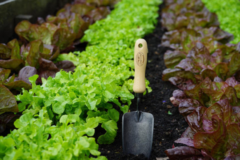 DeWit lifetime durability badge indicates enduring quality for garden tasks.