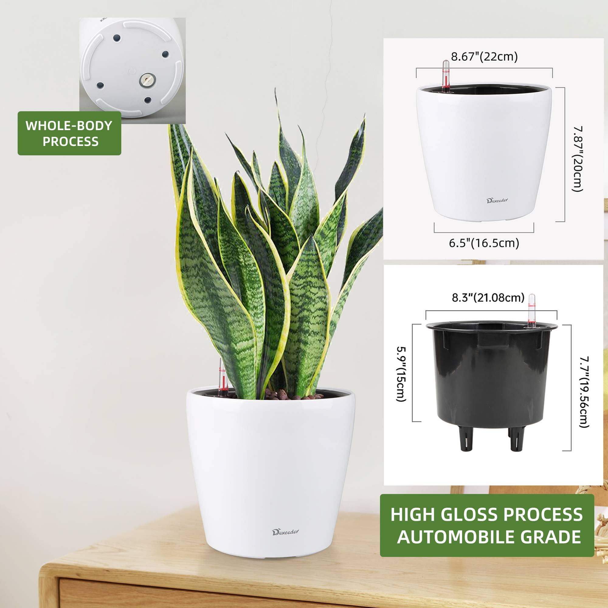 Dexceder inner basin is removable for easy plant replacement