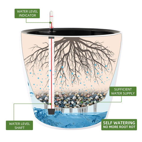 Dexceder inner-pot removable basin design for easy plant replacement