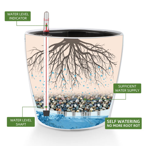 Dexceder planter with water level indicator helps monitor moisture at a glance